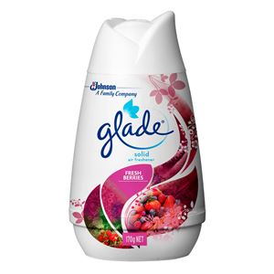 （まとめ）ジョンソン Glade（グレード） グレードソリッドエアフレッシュナー フレッシュベリー 【×5点セット】