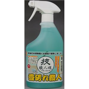 （まとめ）允・セサミ 技職人魂 畳汚れ職人 【×3点セット】