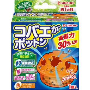 （まとめ）大日本除虫菊（金鳥） コバエシリーズ コバエがポットン置くタイプT 【×6点セット】