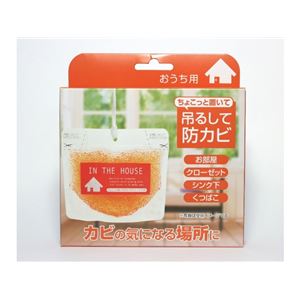 （まとめ） ちょこっと置いて吊るして防カビ おうち用 【×3セット】