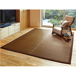 い草 ラグマット/絨毯 【約191×240cm ブラウン】 裏貼り仕様 表面：イ草100％ 縁：綿100％ 『南風 なんぷう』 〔リビング〕【代引不可】