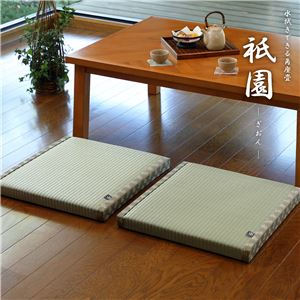 い草風 角座畳/座布団 【約幅55×奥行55×高さ5cm】 正方形 水拭き可 軽量 防カビ仕様 『祇園 ぎおん』 〔リビング 店舗〕【代引不可】