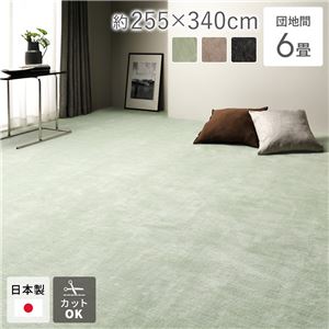 ラグ マット 絨毯 団地間6畳 約255×340cm グリーン 日本製 フリーカット ホットカーペット対応 床暖房対応
