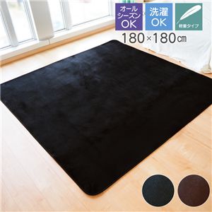 ラグマット約180×180cm 2帖 ブラック 軽量 洗える ウォッシャブル オールシーズン シンプル ホットカーペット 床暖房対応