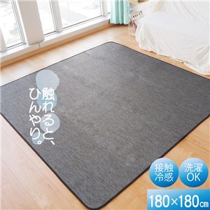 接触冷感 ラグ マット 約180×180cm 2帖 ブラック 軽量 洗える ウォッシャブル 掃除簡単 COOL 霜降り