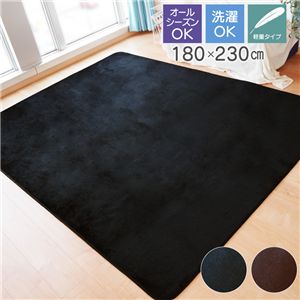 ラグマット 約180×230cm 3帖 ブラック 軽量 洗える ウォッシャブル オールシーズン シンプル ホットカーペット 床暖房対応