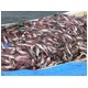 北海道産の魚卵3種食べやすくほぐしちゃいましたセット 各150g入 - 縮小画像2
