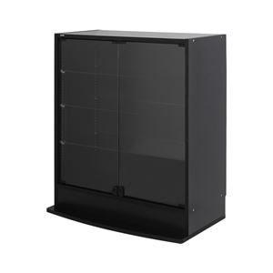 コレクションラック ワイド ロータイプ 本体 奥行39cm ブラック 【組立品】【代引不可】