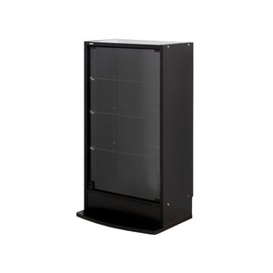 コレクションラック レギュラー ロータイプ本体 奥行29cm ブラック 【組立品】【代引不可】