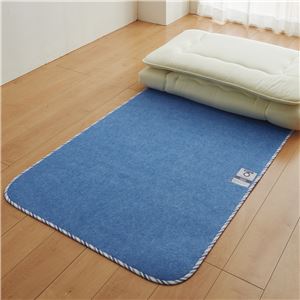 【西川】 ベッド・布団用 除湿シート 【ダブル】 約130×180cm シリカゲル 吸湿センサー付き サラネル 〔ベッドルーム 寝室〕