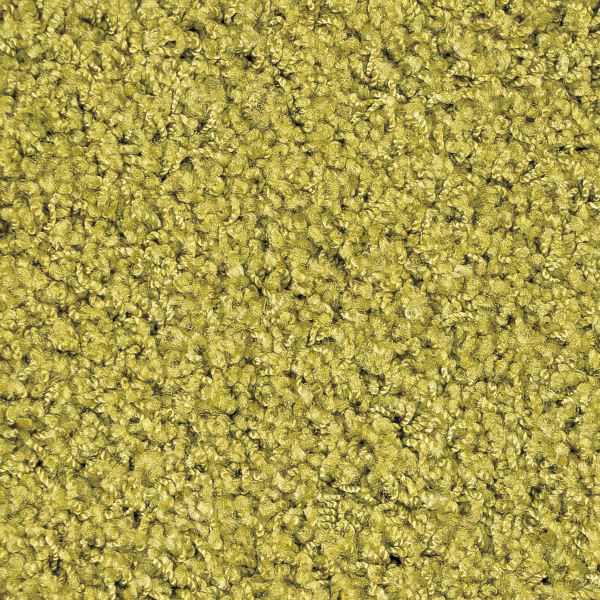 ラグマット/絨毯 【約200×300cm リーフ】 ホットカーペット対応 手洗い可 日本製 『ジャスパーPlus』 プレーベル【代引不可】