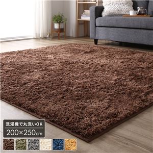ラグ マット 約3畳 約200×250cm 長方形 ブラウン 床暖房 ホットカーペット対応 洗える シャギー 滑りにくい加工 制菌加工
