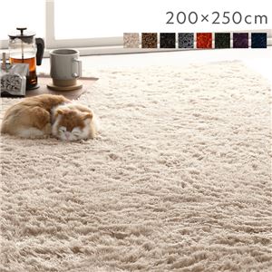 ラグ マット 絨毯 約200×250cm 約3畳 アイボリー 長方形 洗える 滑り止め付 軽量 ホットカーペット可 通年使用可 折りたたみ可