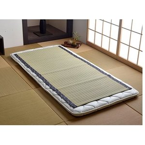 日本製 い草 シーツ/寝ござ 【ブルー シングル約88×180cm】 抗菌 防臭 調湿 熊本県八代産い草使用 〔ベッドルーム 寝室〕
