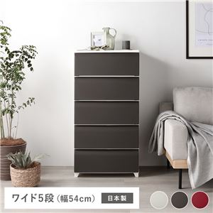 タンス ワイド 5段 約幅54cm ブラウン プラスチック製 脚付き 日本製 ホコリが入りにくい チェスト 衣類収納 収納家具 組立式