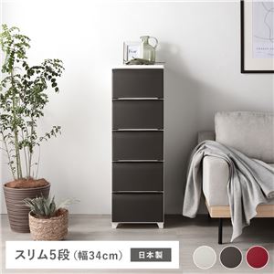 タンス スリム 5段 約幅34cm ブラウン プラスチック製 脚付き 日本製 ホコリが入りにくい チェスト 衣類収納 収納家具 組立式