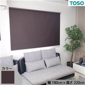 遮光生地で日差しを遮断 遮光ロールスクリーン ブラウン 約幅180cm×高さ220cm