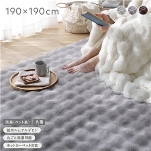 ふわもこ ラグ 約190×190cm グレー 洗える 抗菌 消臭 ペット臭 滑り止め加工 ホットカーペット 床暖房可 フロアマット 絨毯