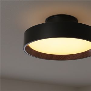 調光調色 シーリングライト 直径39×高さ15cm ブラック 照明器具 LED メモリー機能 点灯切り替え オフタイマー