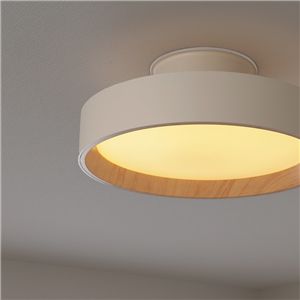 調光調色 シーリングライト 直径39×高さ15cm グレージュ 照明器具 LED メモリー機能 点灯切り替え オフタイマー
