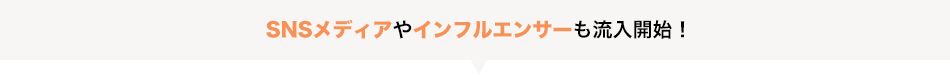 SNSメディア・インフルエンサー流入開始