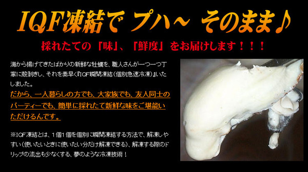 【本場】広島ミルク牡蠣2kg