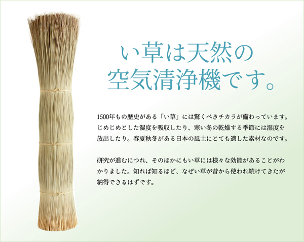 純国産(日本製) ユニット畳 『安座』 88×176×2.2cm(2枚1セット)