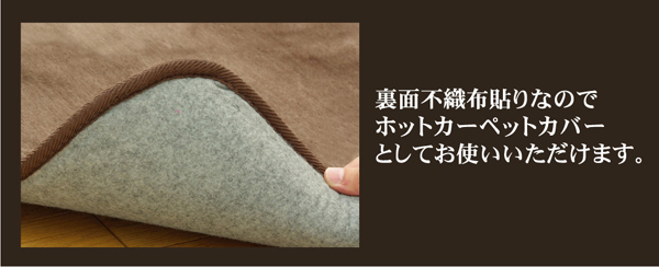 洗える ウォッシャブルラグカーペット 『WSウェンデル』 アイボリー 200×300cm