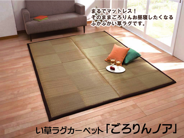 固わた20mm入り い草ラグカーペット 『ごろりんノア』 約191×250cm