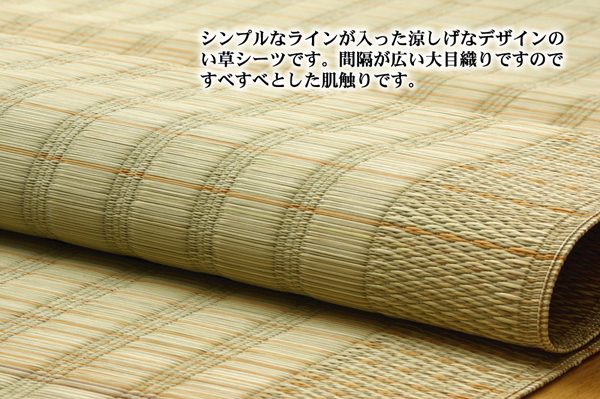 純国産 い草のシーツ(寝ござ) 『清風』 ブルー シングル約88×180cm