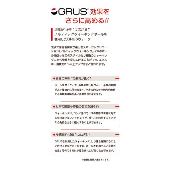 GRUS(グルス) 歩数計 認知症予防 歩幅計測 心拍計測 シルバー GRS002-02