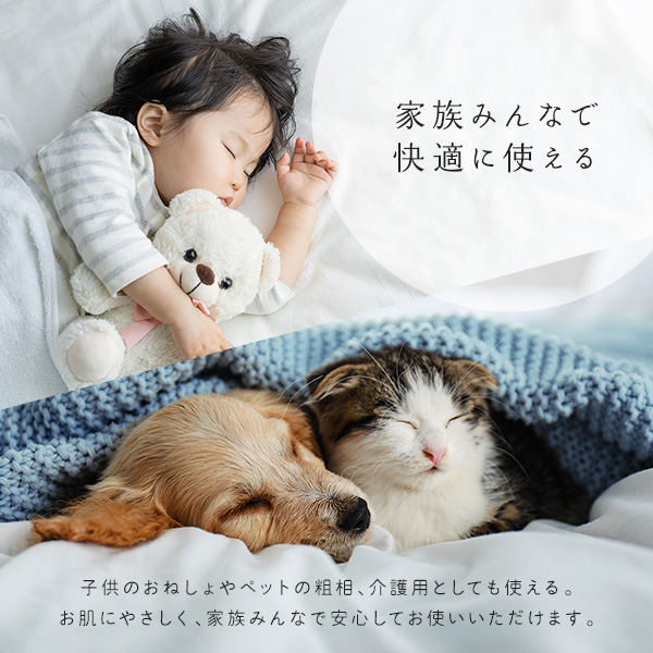 説明画像