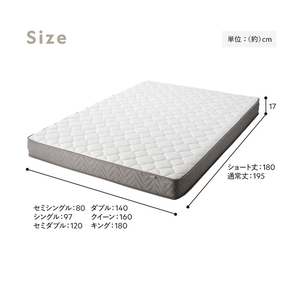 サイズ