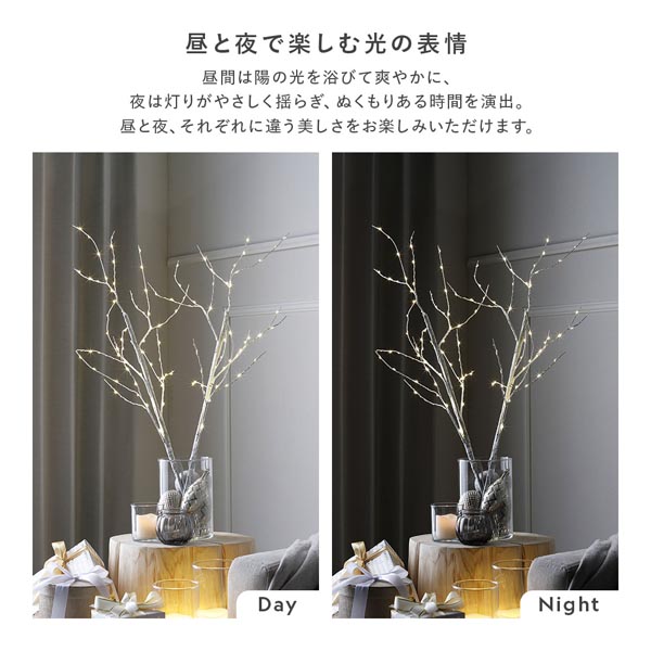 昼と夜で楽しむ光の表情