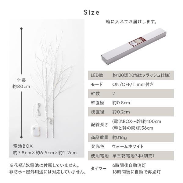 サイズ