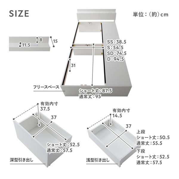 サイズ