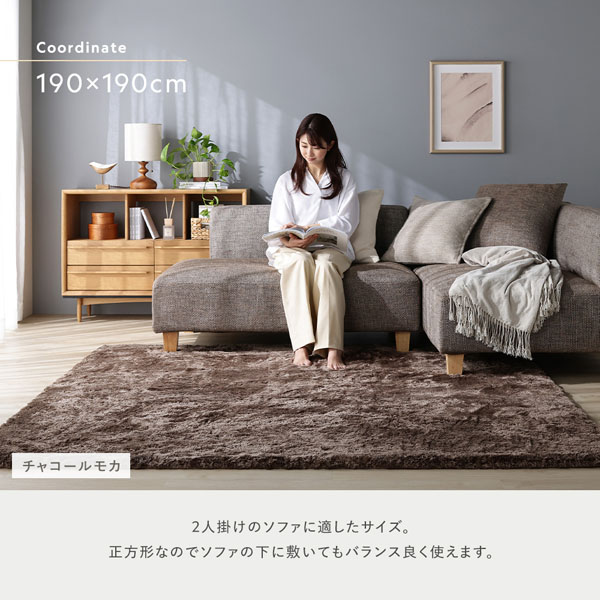 190×190cm：2人掛けのソファに適したサイズ。正方形なのでソファの下に敷いてもバランス良く使えます。