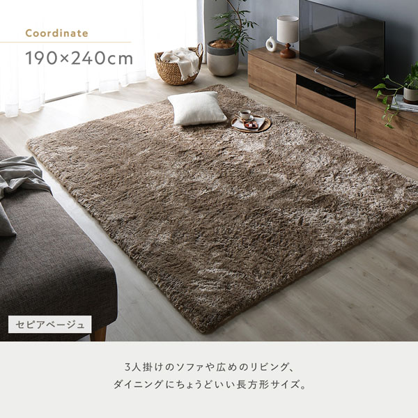 190×240cm：3人掛けのソファや広めのリビング、ダイニングにちょうどいい長方形サイズ。