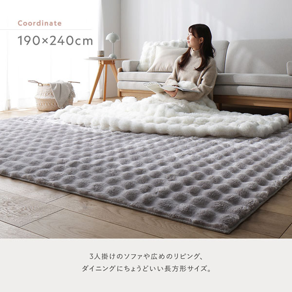 190×240cm：3人掛けのソファや広めのリビング、ダイニングにちょうどいい長方形サイズ。