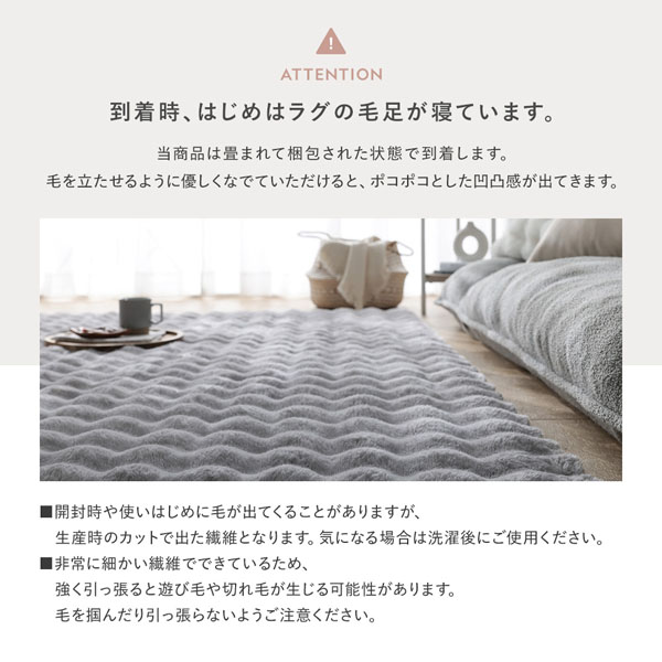 到着時、はじめはラグの毛足が寝ています。