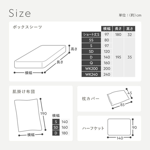 サイズ