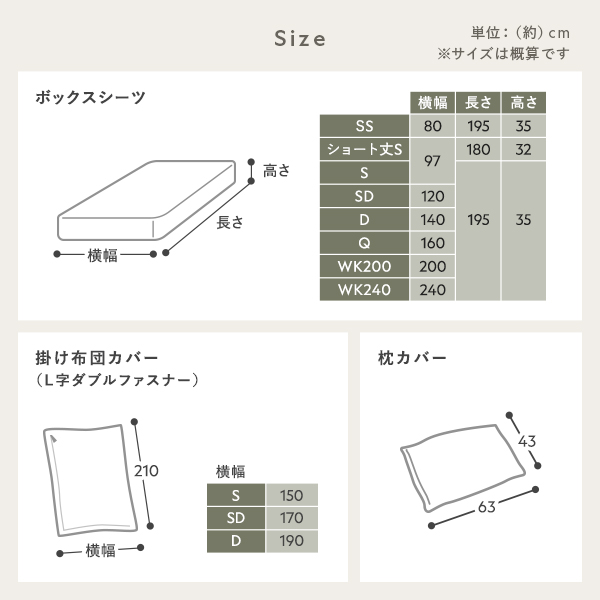 サイズ